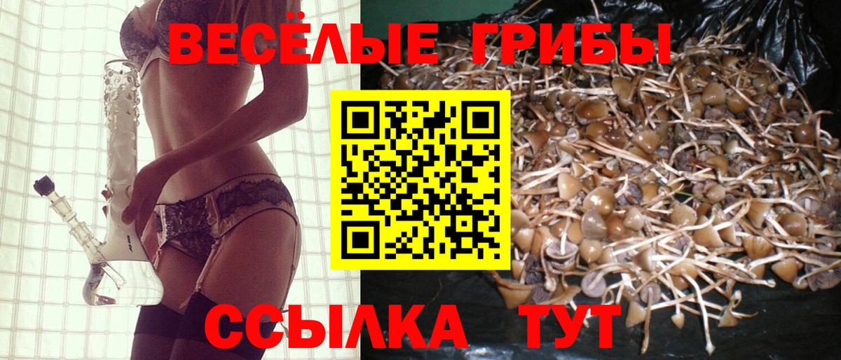 Галлюциногенные грибы Magic Shrooms  Вход с VPN  Муром 