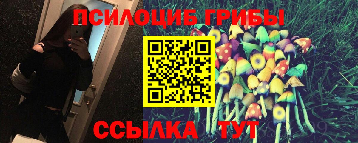 Галлюциногенные грибы GOLDEN TEACHER Муром